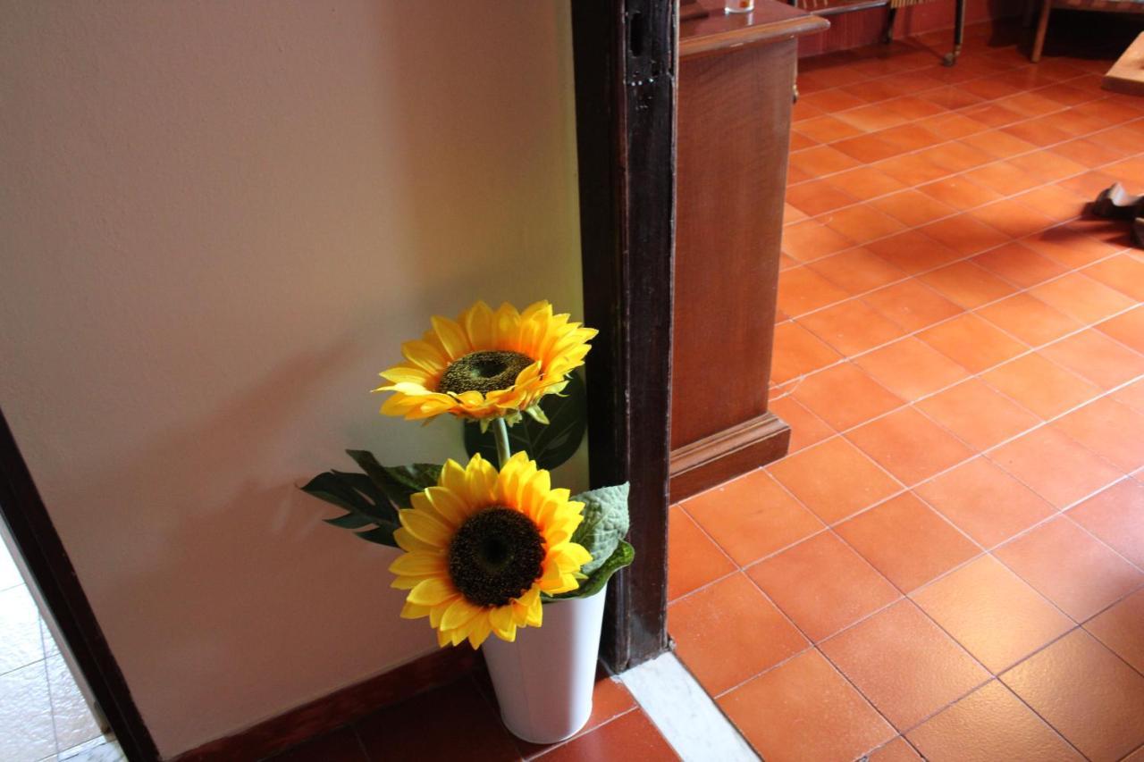 Casa Vacanze Da Mari Poggio  外观 照片